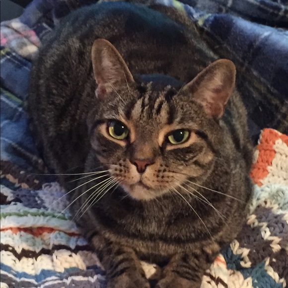 I’m Tonya K - TKinNJ’s closet. Welcome!! - Picture 10 of 13